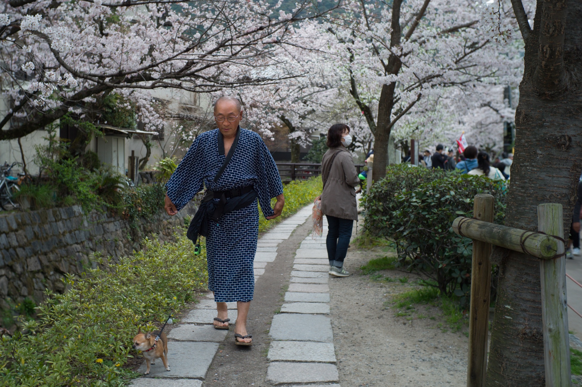 Japon 2016