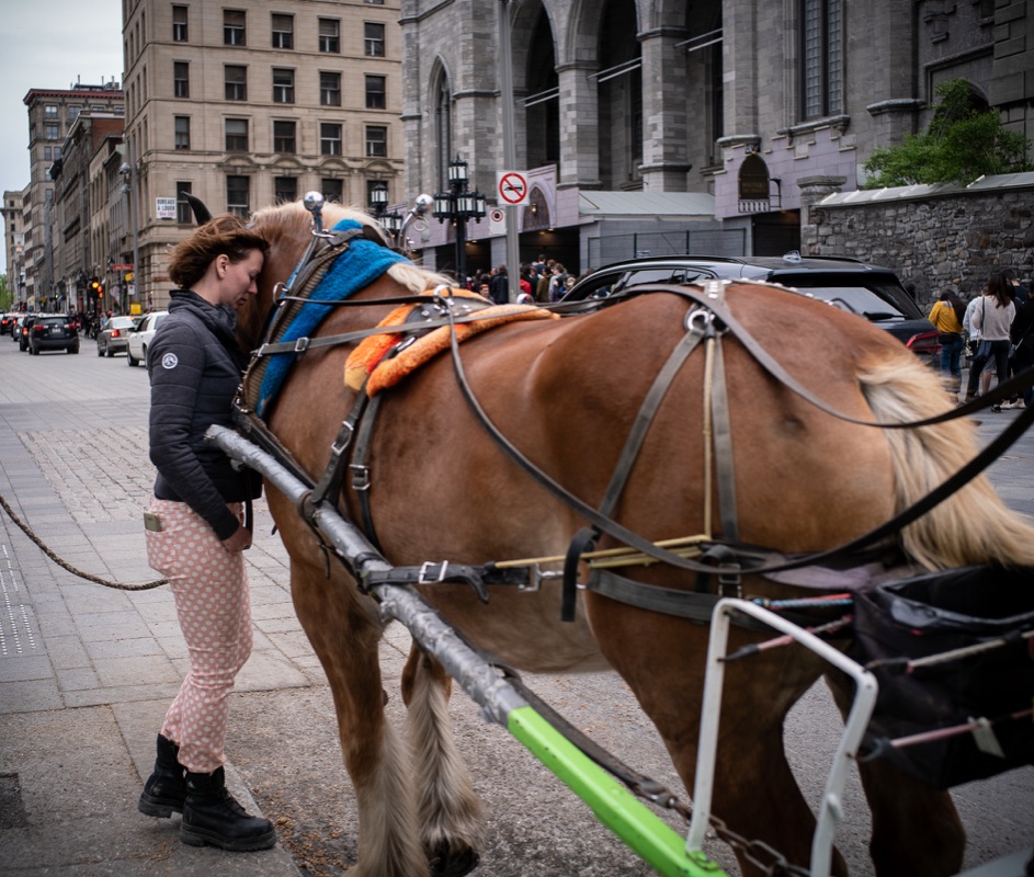 M Vision 2019: The changing state of photojournalism